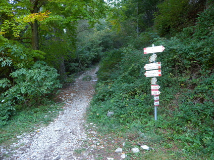 O401-ldp019-00-p01-181005-GP