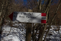 O402-ldp011-01-d1-171116-td-2314