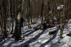 O402-ldp011-01-p1-171116-td-2313