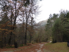 O402-171029-FB-P1030364