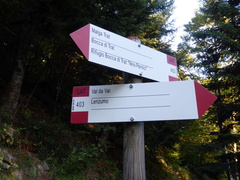 O403-ldp003-01-d1-170921-RF-P1030298