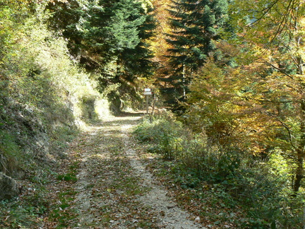 O403-ldp003-01-p4-171010-CC-0985