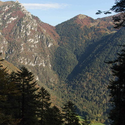 sentiero