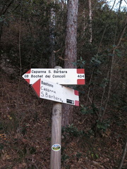 O404-ldp003-00-d01-171121