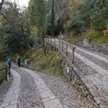 O404-171111-td-2192