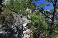 O405-ldp003-00-p01-160709