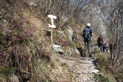 O405-ldp004-00-p1-090408-LB