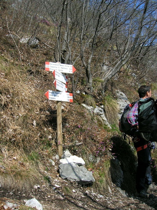 O405-ldp004-00-p2-090408-LB (9 visite) O405-ldp004-00-p2-090408-LB