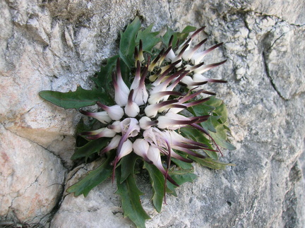 O405-090603-LB-10088