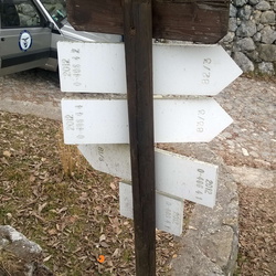 ldp