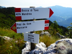 O407A-ldp002-00-d01-190708-IC