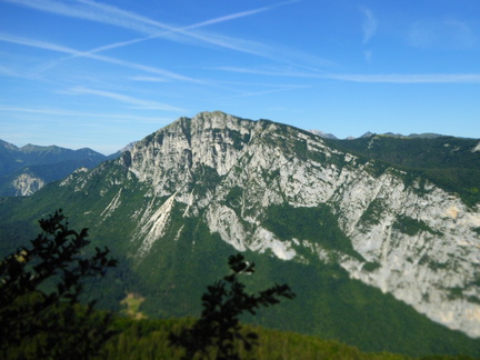 O407A-Versante-est-monte-Misone-180708-IC