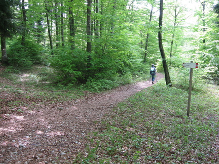 O408-ldP008-00-p1-160508-6354