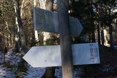 O408B-ldp002-00-2998