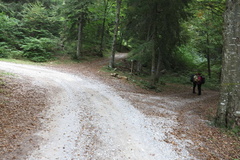 O408B-ldp-003-00-p1-130925