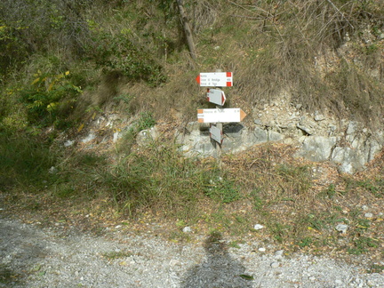 O409-ldp002-00-p02-cc