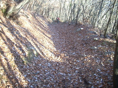 O409B-171126-FB-0913