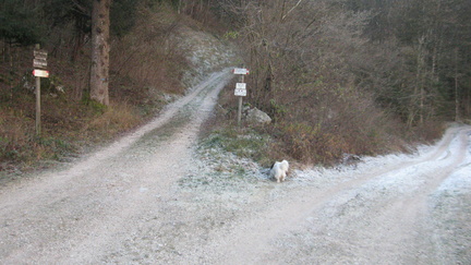 O410-ldp005-00-p2-081226-FB-0646