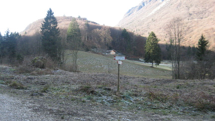 O410-ldp006-00-p1-081226-FB-0653