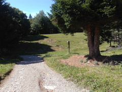 O411-ldp009-02-p4-170815-MCF