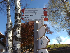 O411-ldp010-00-d5-171013-MCF-101641