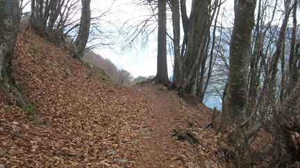 O412-170417-FB-1249