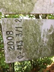 O413-ldp003-01-d03-180606-ED