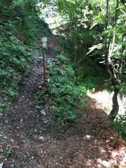 O413-ldp003-01-p01-180606-ED