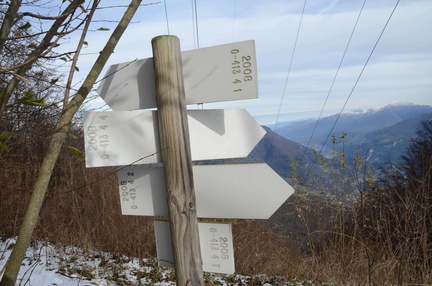 O413-ldp004-00-d02-161109-ED