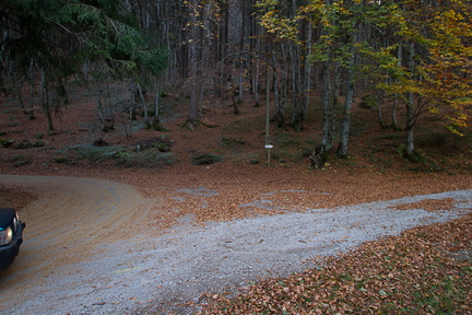 O414-ldp009-00-p1-171031-td-1487