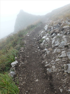 O414-1609026-LB-0010