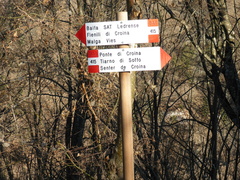 O415-ldp004-00-d2-170106-RF-P1020395