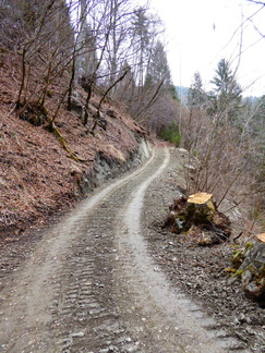 O415-Salita-verso-la-Baita-de-Croina-160402