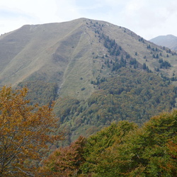 sentiero