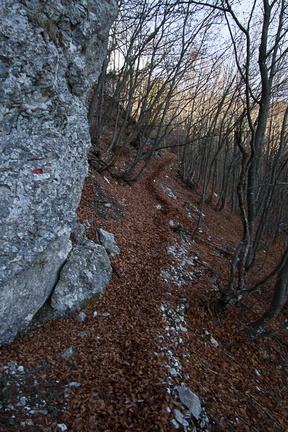 O417A-171111-td-2072 (30 visite) O417A-171111-td-2072