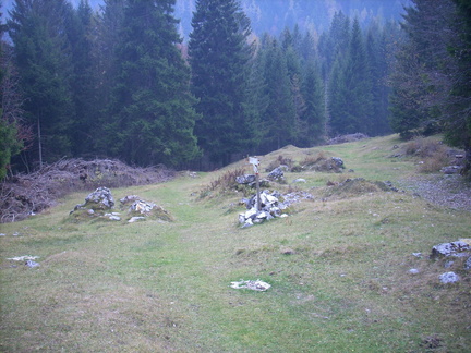 O419-ldp006-00-p1-171029-RF-0457