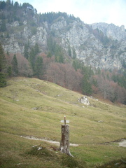 O419-ldp008-00-p2-171029-RF-0438