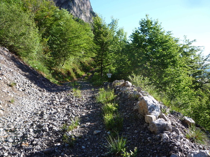 O420-ldp002-00-p2-170607-EZIO-P1130099