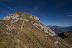 O420-ldp005-00-p1-171007-td-6698-23