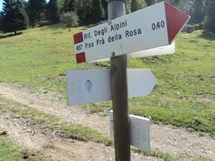 O421-ldp006-00-d02-Passo-Nota-160807-MP