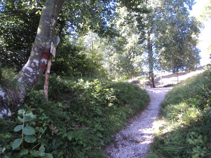 O421-ldp007-00-p01-160807