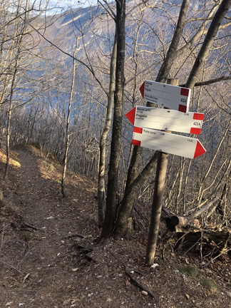 O422A-ldp003-00-p01-250109-DM (135 visite) O422A-ldp003-00-p01-250109-DM