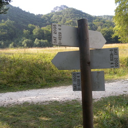 ldp