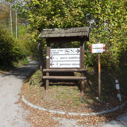 ldp