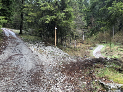 O423-ldp002-10-p01-210502-ED