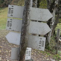 O423-ldp005-00-d05-161021-ED (4 visite) O423-ldp005-00-d05-161021-ED