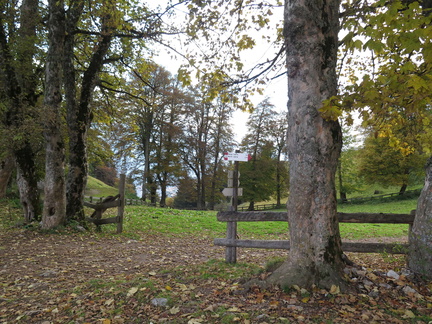 O423-ldp005-00-p02-161021-LB-1337