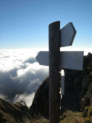 O423-ldp007-00-d4-161021-LB-1223