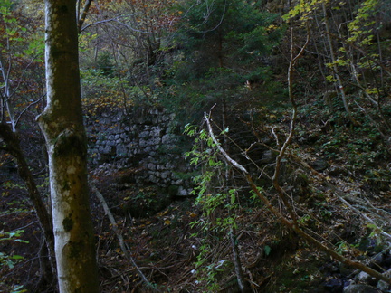O424-171012-CC-0029