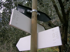 O425-ldp003-00-d4-071121-LB